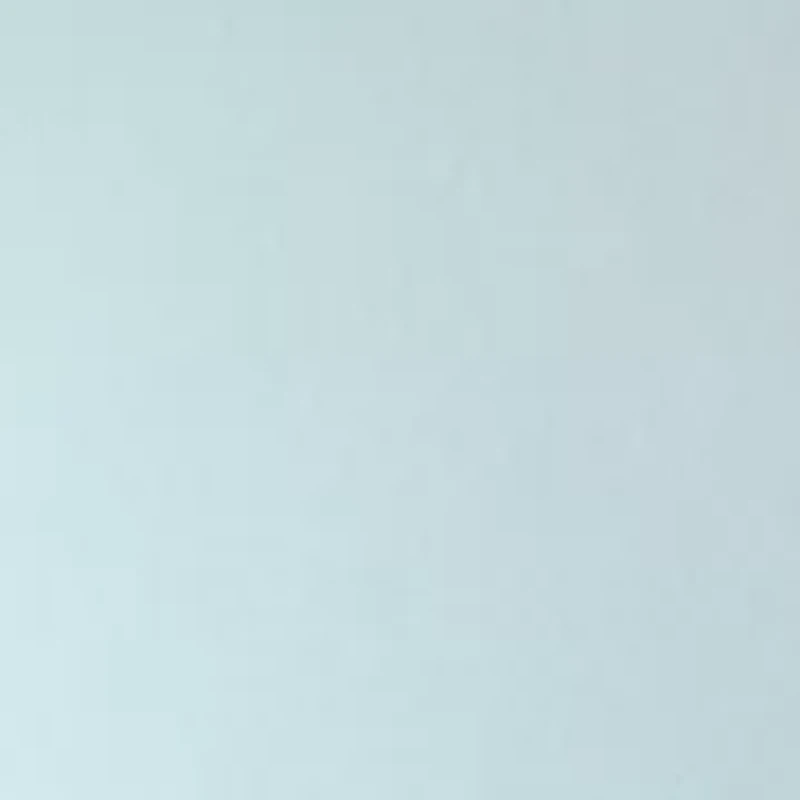 Plus Long Sleeve Appliqué Sweatshirt