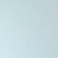 Plus Long Sleeve Appliqué Sweatshirt