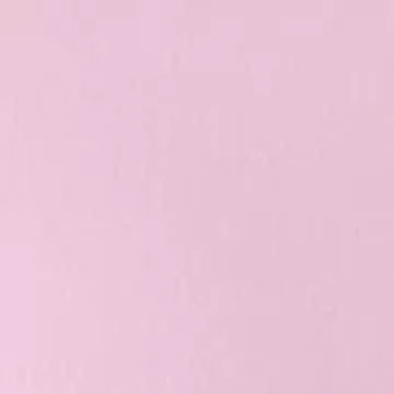 Plus Embroidered Hooded Sweatshirt