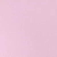 Plus Embroidered Hooded Sweatshirt