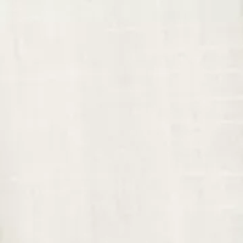 Women's Basic Button Down Shirt