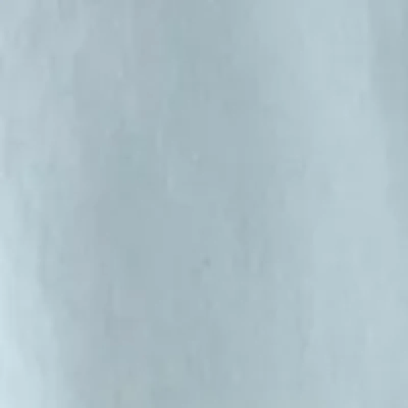 Women's Collared Button Down Dress