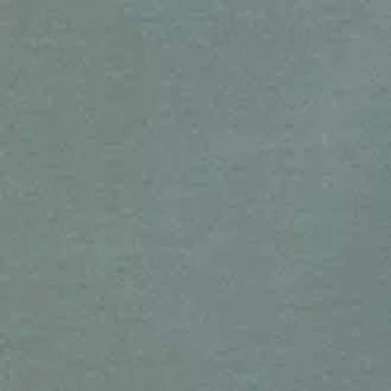 Women's Pleat Front Wide Leg Pants