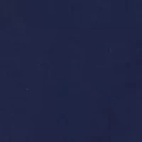 Women's Pleat Front Wide Leg Pants