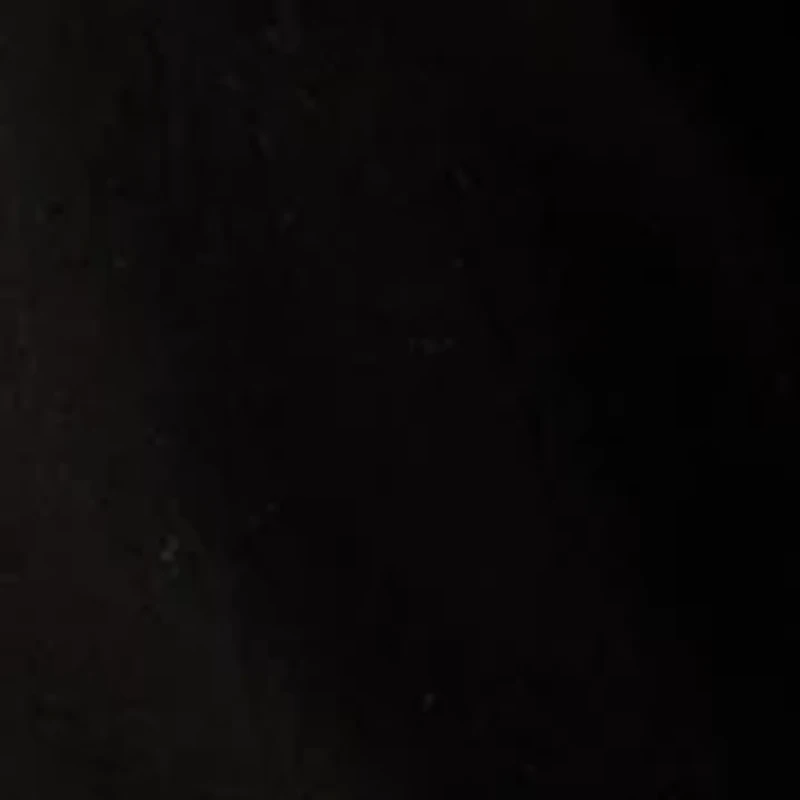 Petite Mid Rise Straight Stretch Jeans