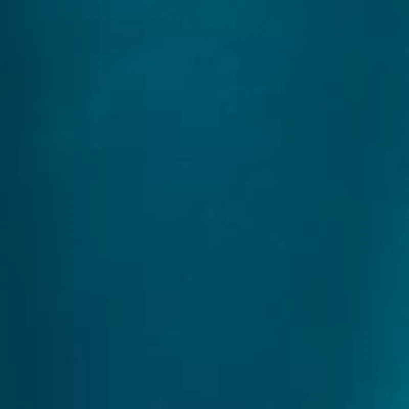 Women's Roll Cuff Ankle Pants