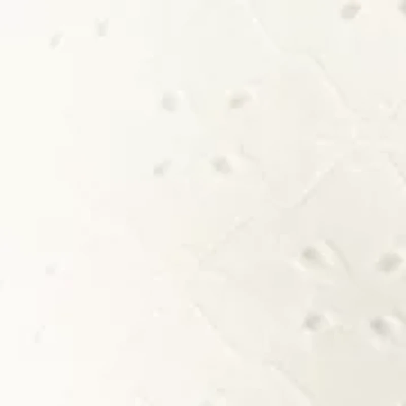 Women's Halter V-Neck Eyelet Ruch Top