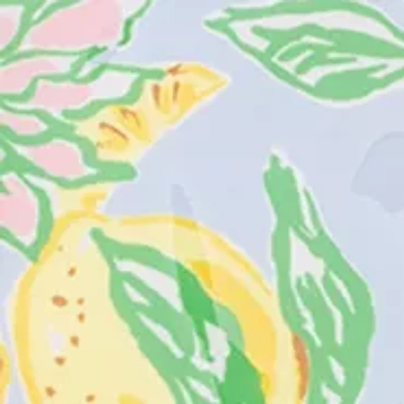 Oversized Pouch, Make Lemonade