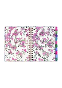 Jumbo 17 Month Agenda