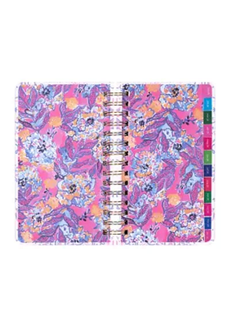 Medium 17 Month Agenda, Tis the Sea Sun
