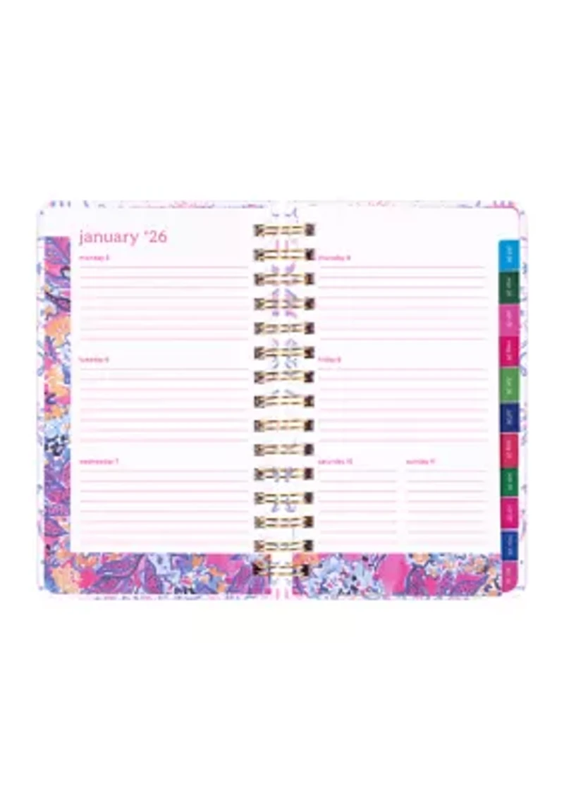 Medium 17 Month Agenda, Tis the Sea Sun
