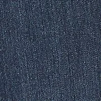 Plus Amanda Jeans - Short