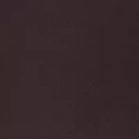 Petite Amanda Classic Jeans