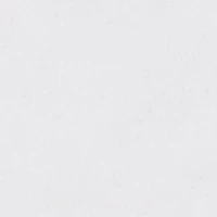 Petite Shape Effect Shorts