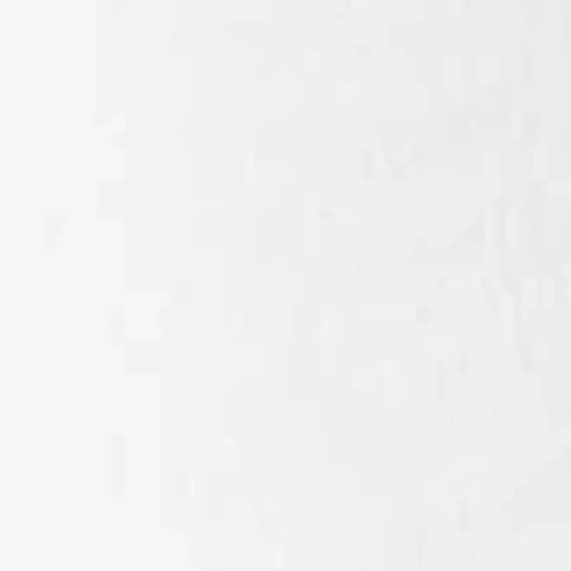 Petite Amanda Bermuda Shorts