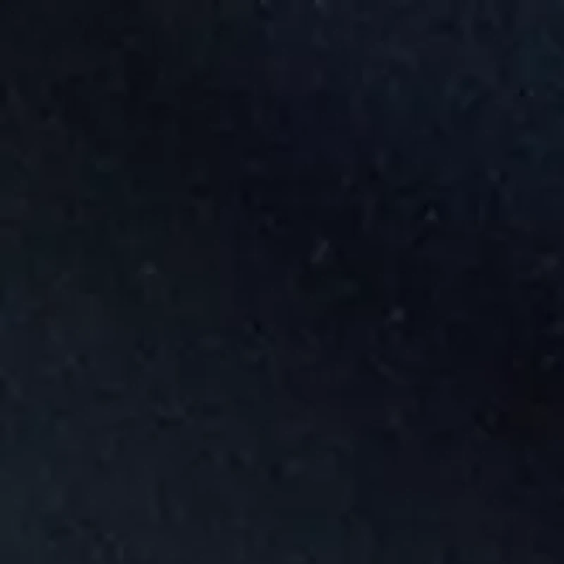 Petite Ribbed Waist Skort