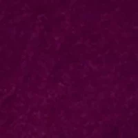 Plus Dixie Stretch Velvet Top