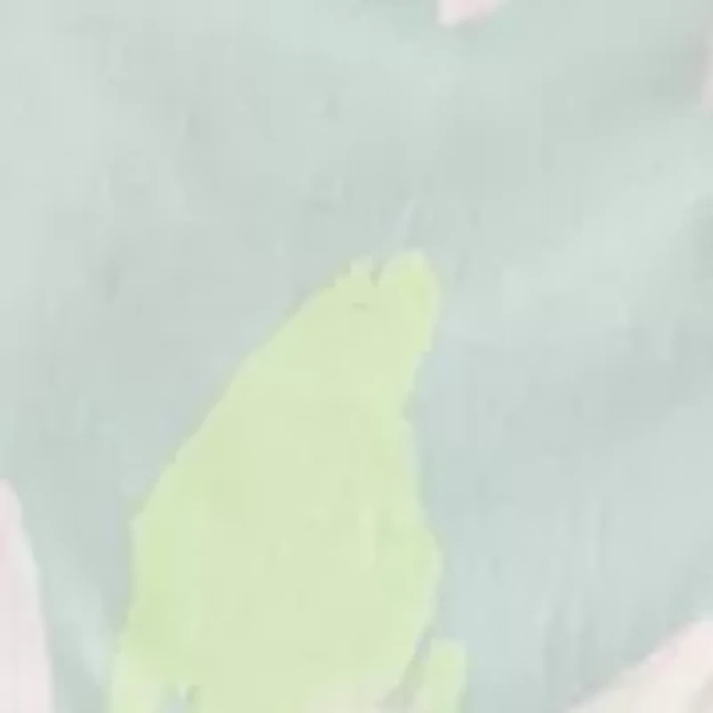 Women's Printed Rayon Challis Linen Maxi Dress