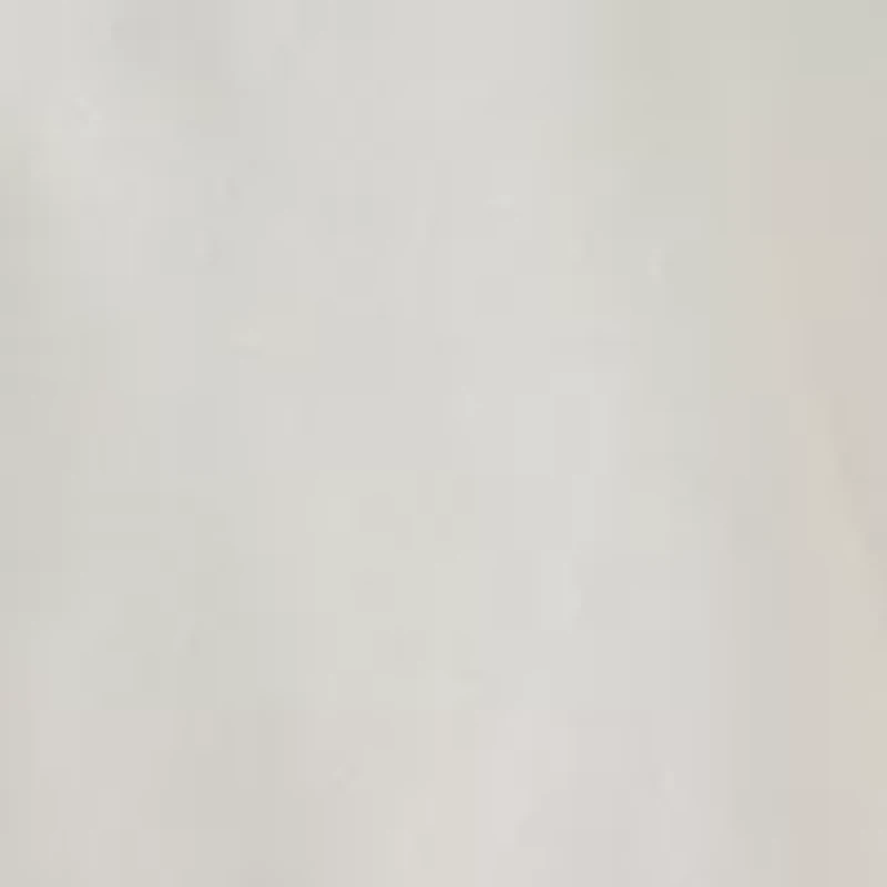 Women's Contrast Stitch Button Down Shirt