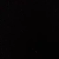 Petite Sleeveless V-Neck Button Sweater Vest