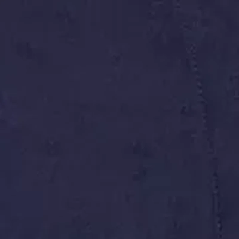 Women's 3/4 Sleeve Blouse with Tie Waist Detail