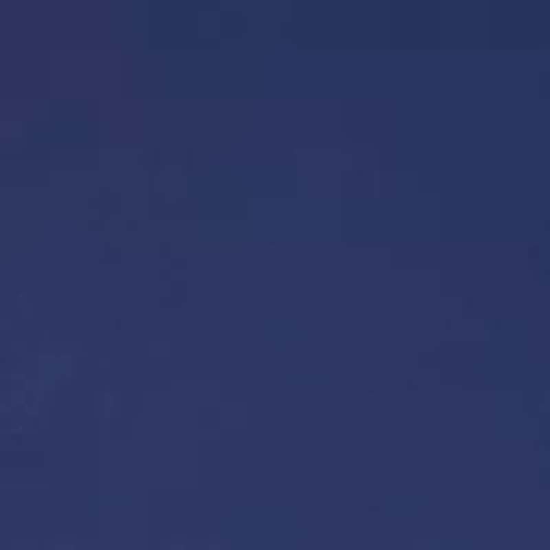 Women's Bias Midi Skirt