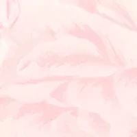 Women's Long Sleeve Button Down Blouse