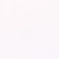 Women's Long Sleeve Ruffle Hem Top