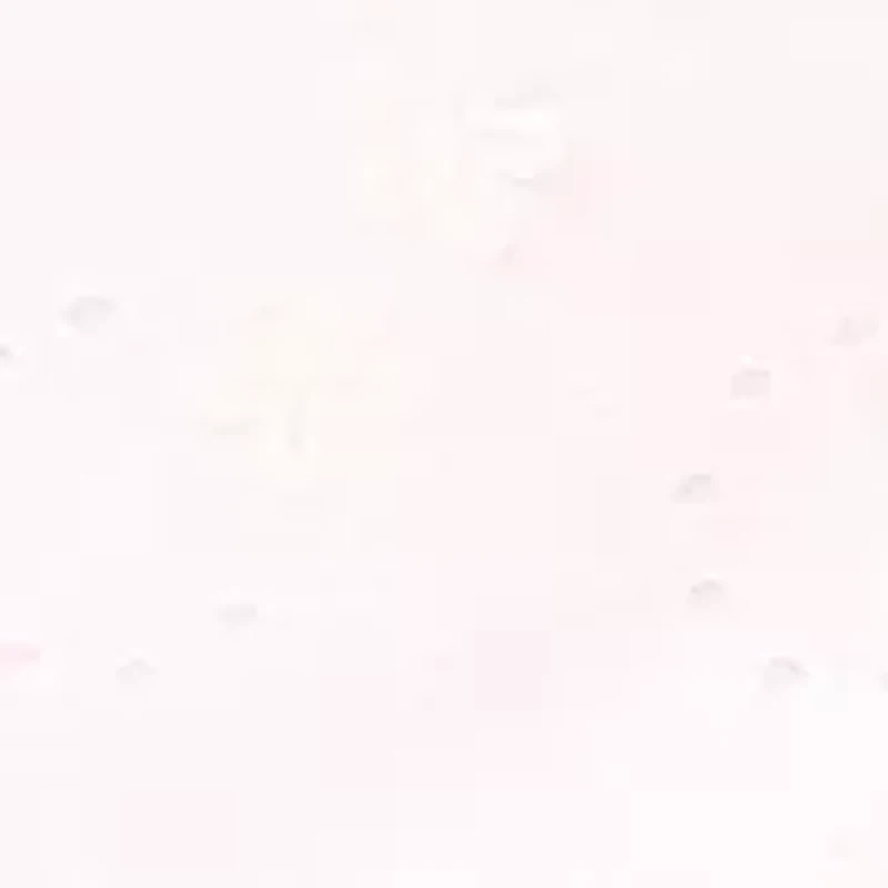 Women's Eyelet Skirt