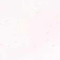 Women's Eyelet Skirt