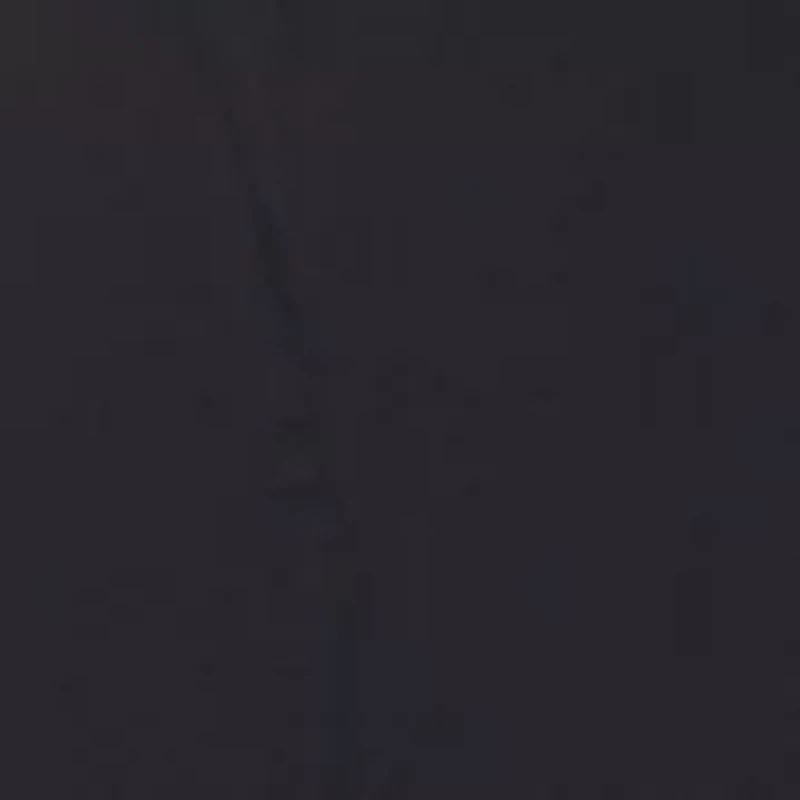 Women's Sleeveless High Neck Shift Dress