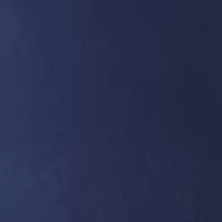 Women's Smocked Waist V-Neck Blouse