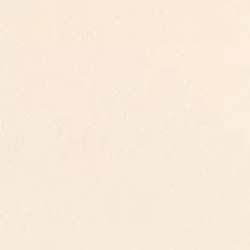 Women's Asymmetrical One Shoulder Long Sleeve Top