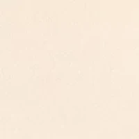 Women's Asymmetrical One Shoulder Long Sleeve Top