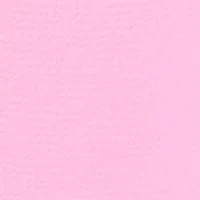 Women's Ruffle Sleeve Solid Blouse