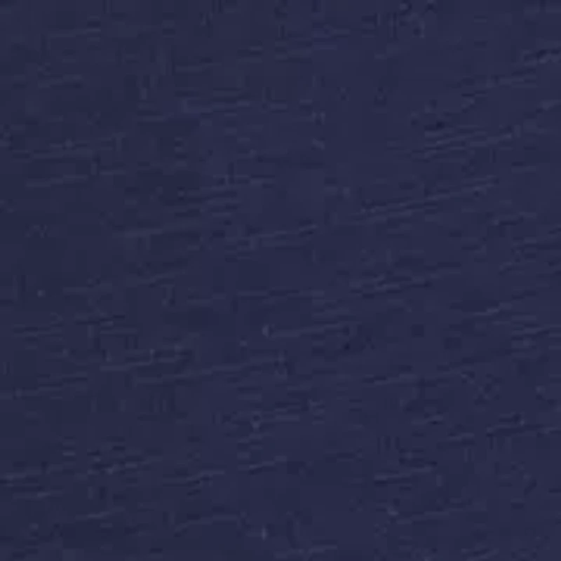 Women's Eyelet Flutter Sleeve Top