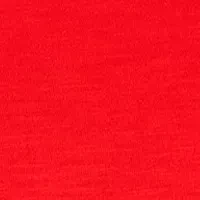 Women's Eyelet Flutter Sleeve Top