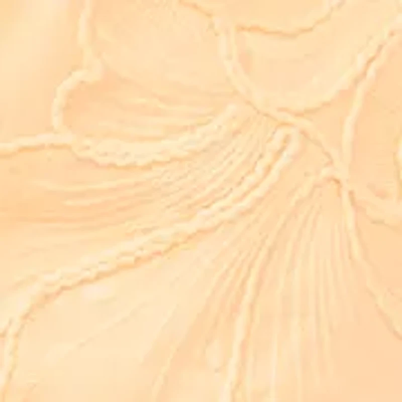 Women's Embroidered Shorts