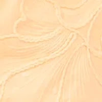 Women's Embroidered Shorts