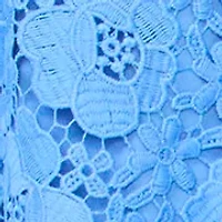 Women's A-Line Lace Skirt