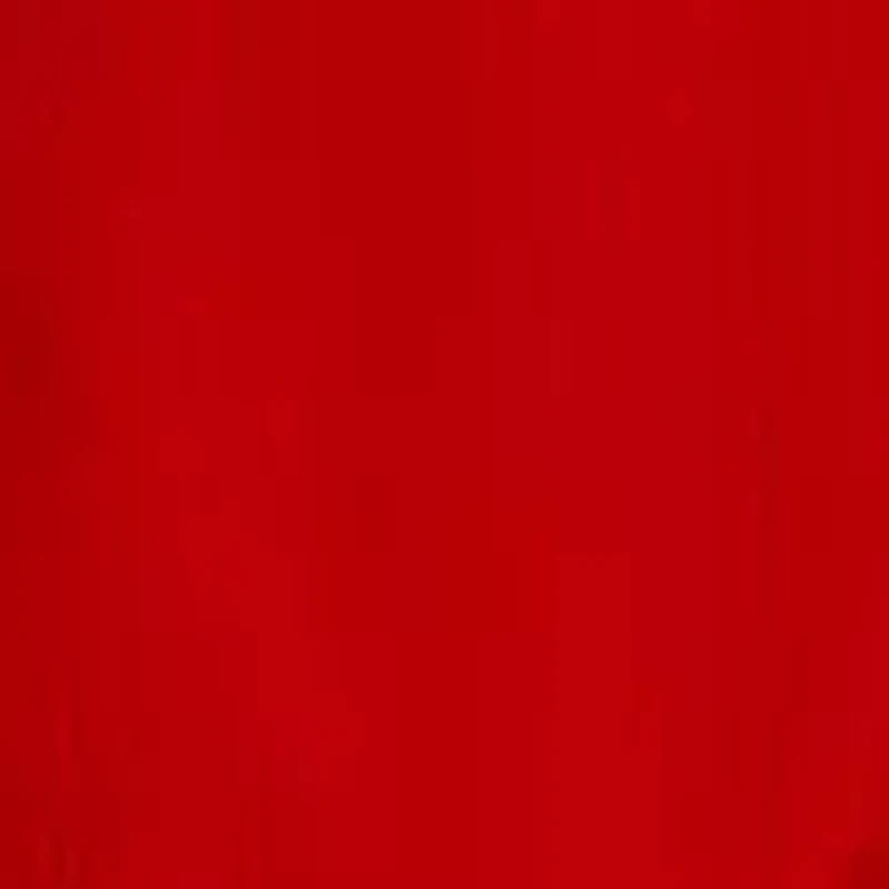 Women's Sleeveless Halter Blouse