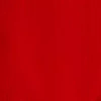 Women's Sleeveless Halter Blouse