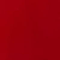 Women's Ruffle Sleeve V-Neck Velvet Dress