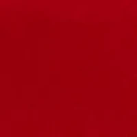 Women's Short Puff Sleeve Velvet Top