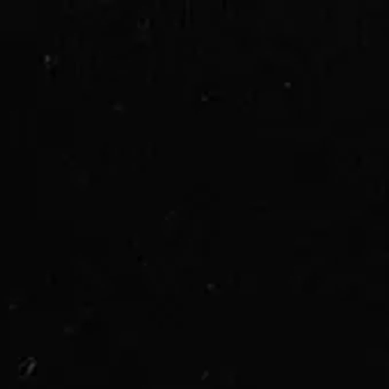 Women's Long Sleeve Woven Collar Cuffed Sweater