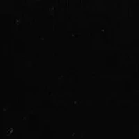 Women's Long Sleeve Woven Collar Cuffed Sweater