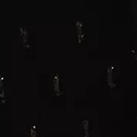 Women's Smocked Puff Sleeve Floral Blouse