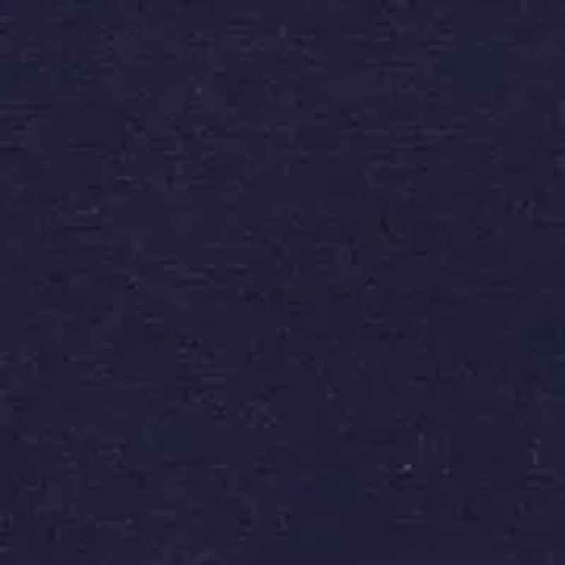 Women's Elbow Sleeve Tie Neck Sweater