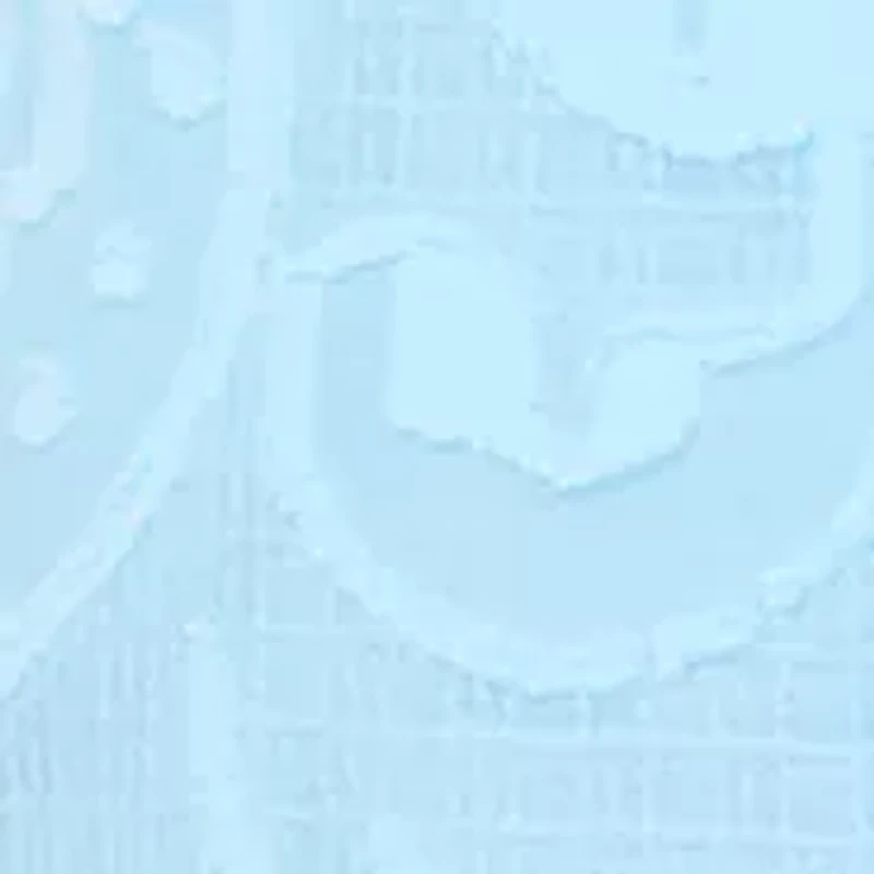 Petite Raglan Flutter Sleeve Pleated Bow Top