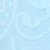 Petite Raglan Flutter Sleeve Pleated Bow Top